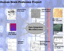 Data Integration